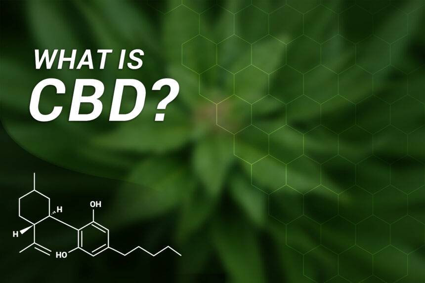 What is CBD | HDIGW