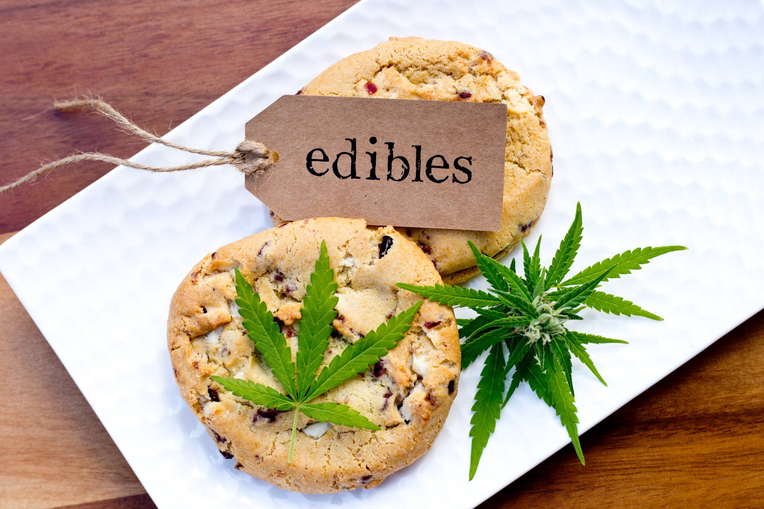 Edibles For Rookies | HDIGW