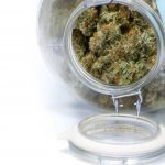 How to Choose the Right Cannabis Storage Container