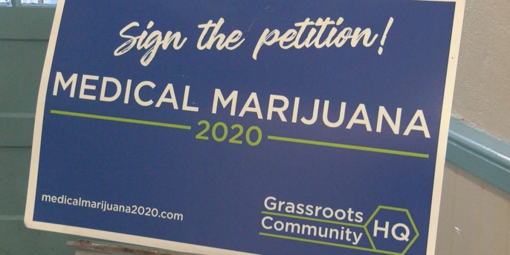 marijuana on the ballot art2