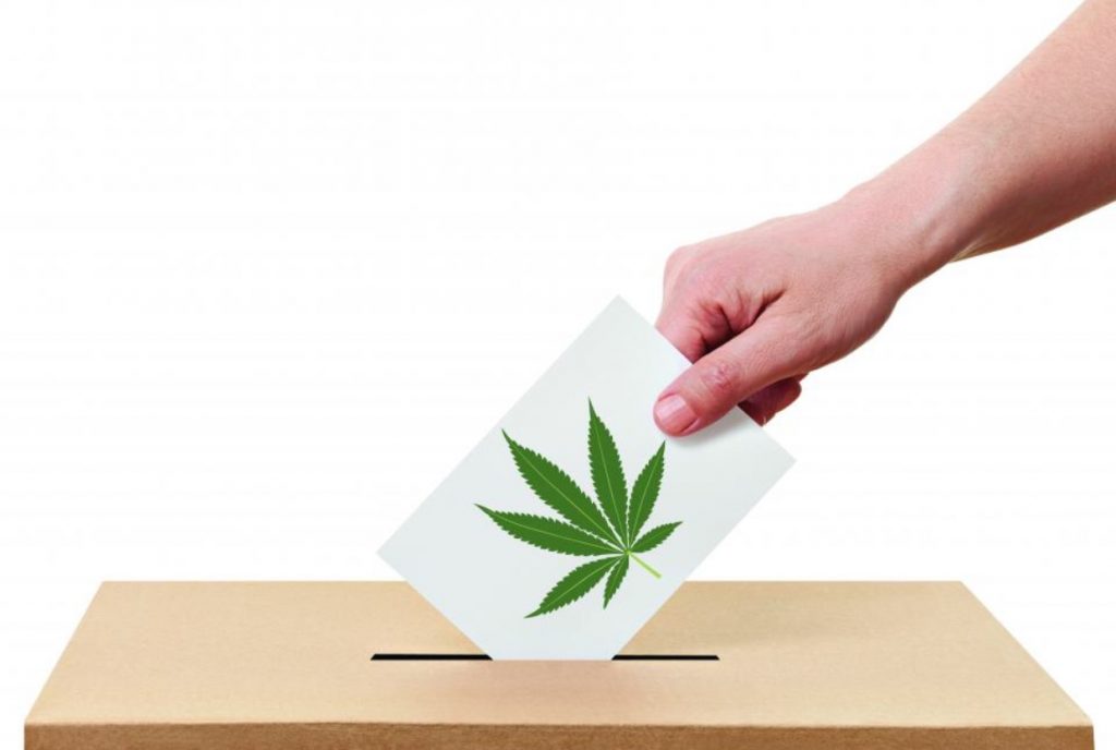 Why I’m Voting for the Cannabis Ticket - How Do I Get Weed