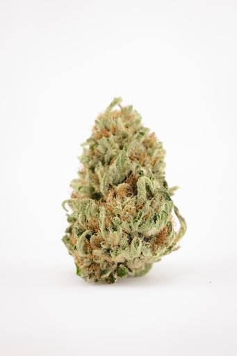 Willy's Dream Strain Review - How Do I Get Weed
