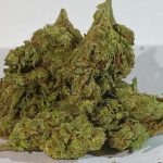 Washington DC's Top Rated Weed Delivery