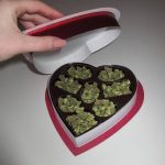V-day for cannabis lovers