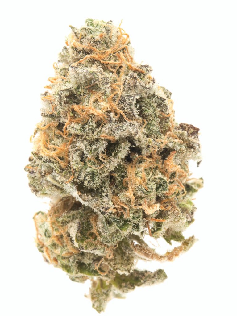 Fortune Cookies Strain Review - How Do I Get Weed