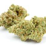 Washington DC's Top Rated Weed Delivery