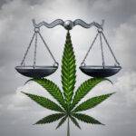cannabis law 101