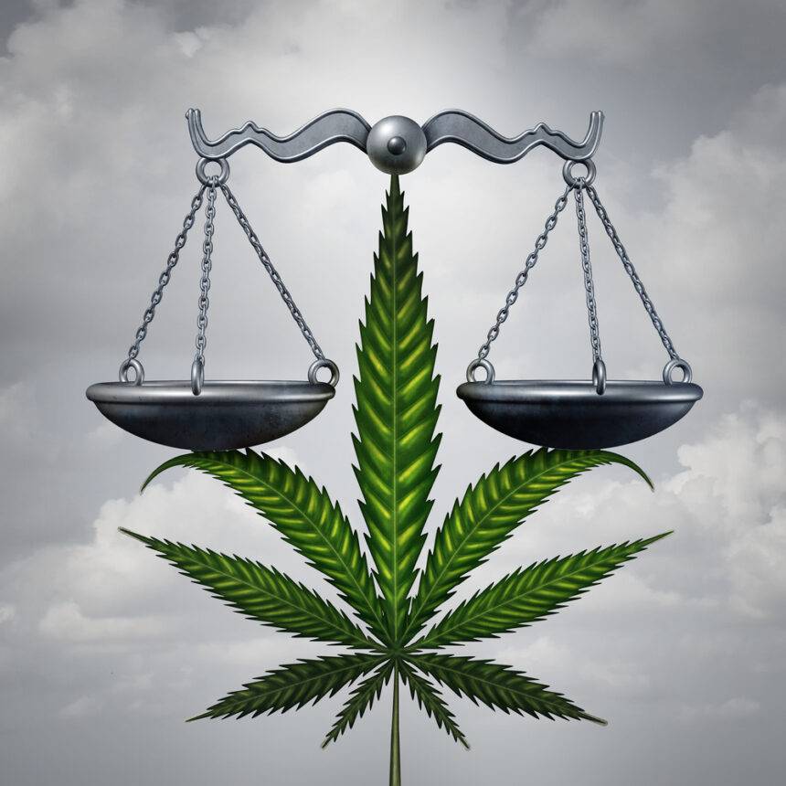 cannabis law 101