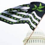 cannabis restrictions