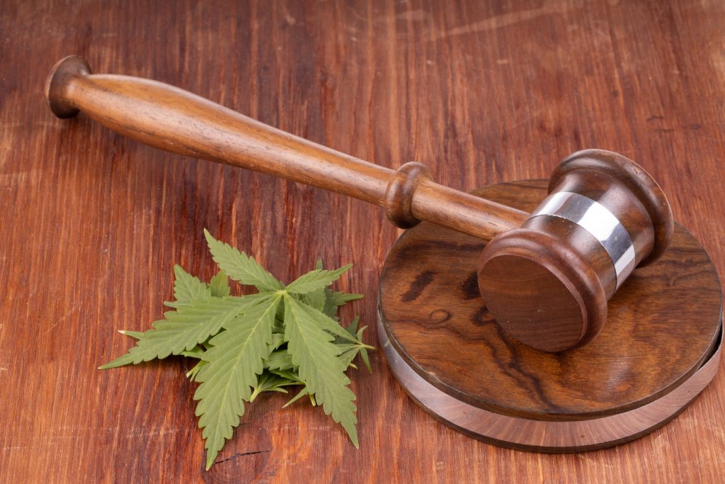 Maryland Laws Maryland Cannabis Bill