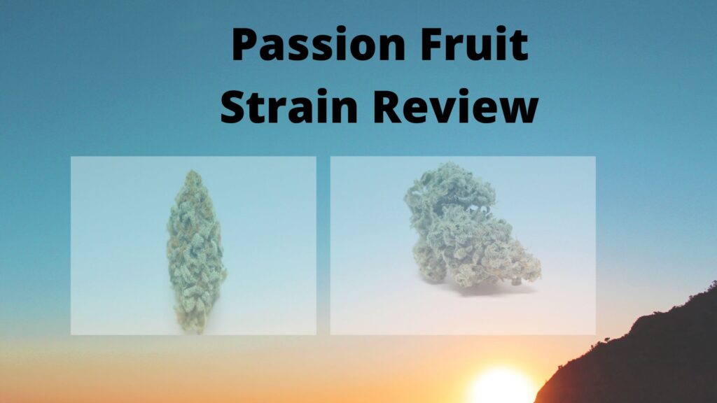 Passion Fruit Strain Review