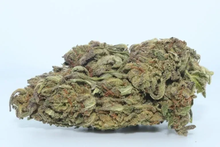 Space Bomb Strain Review