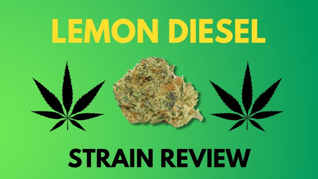Lemon Diesel Strain Review