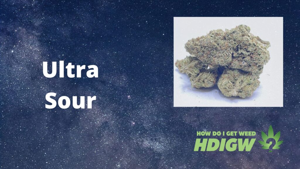 Ultra Sour Sativa Weed Strains