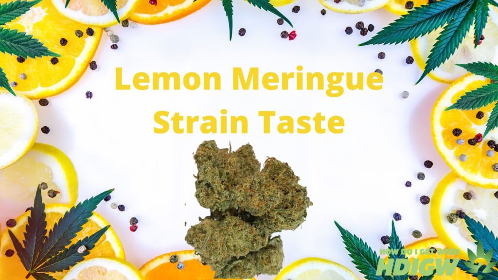 Lemon Meringue Strain Taste