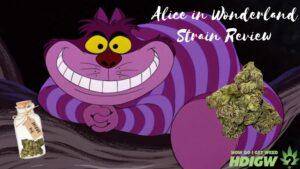 Alice in Wonderland Review