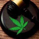 cannabis-leaf-and-gavel