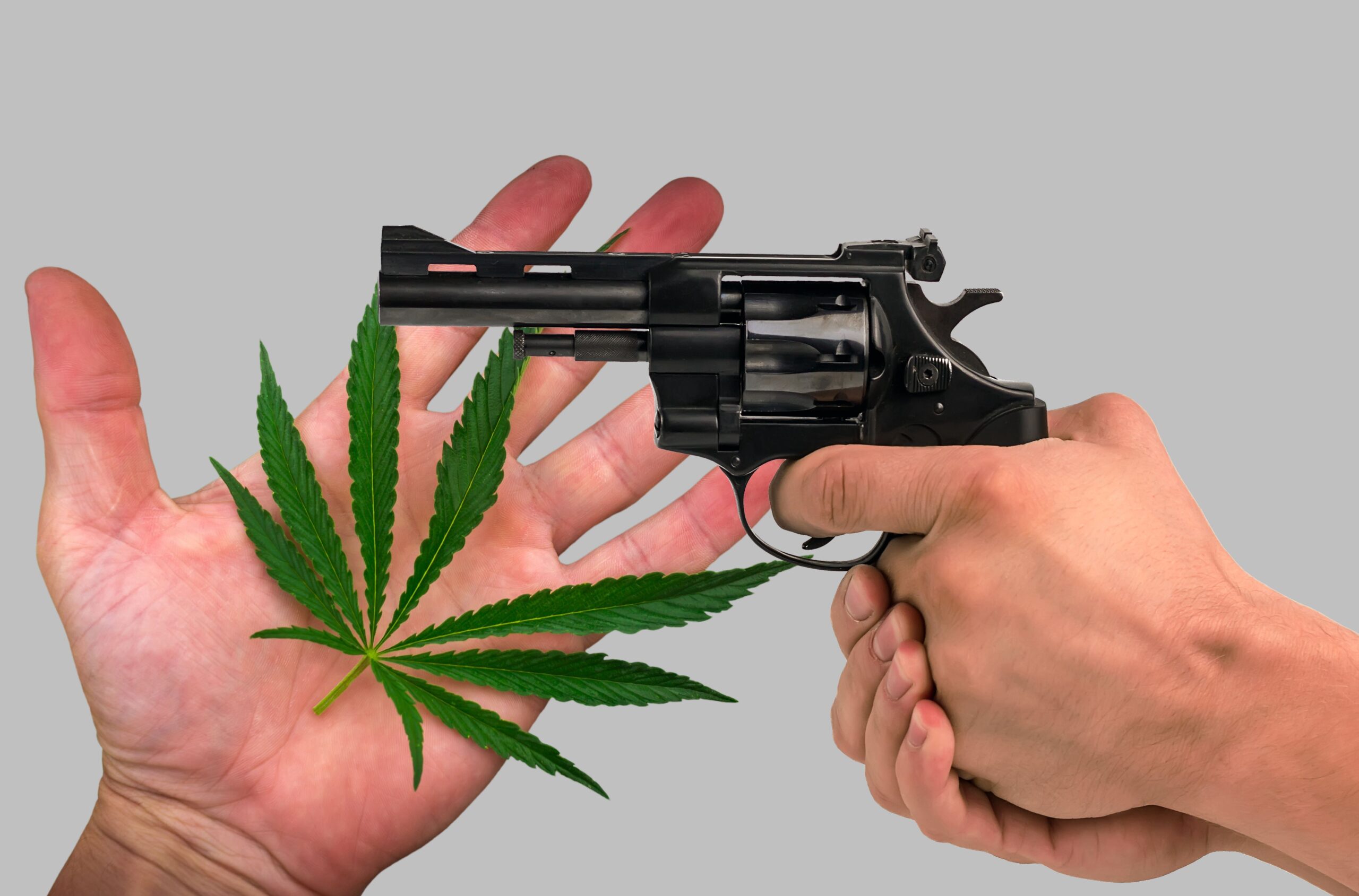 hand with pot leaf and hands holding revolver
