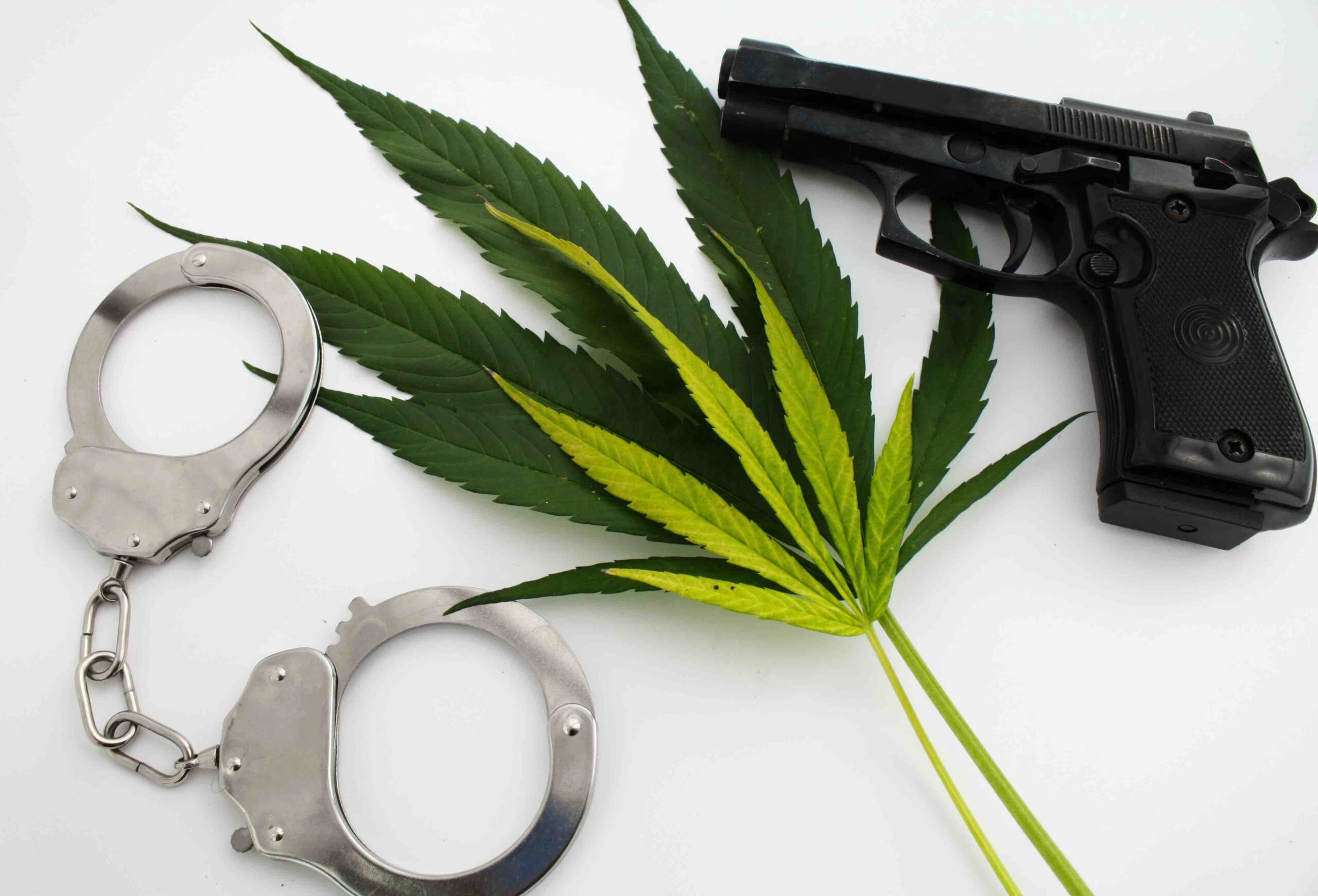 handcuffs-and-gun-and-marijuana-plant
