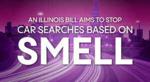 An Illinois Bill Aims to Stop Car Searches Based on Smell
