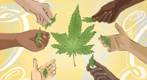 How Do Cannabis Social Equity Programs Work?