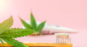 Is Smoking Cannabis Bad for Your Teeth?