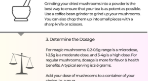 how to make mushroom tea infographic