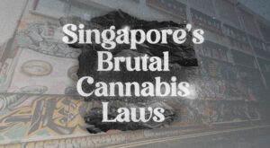 1 Kilogram of Cannabis Was the (Ultimate) Price of This Singaporean Man’s Life