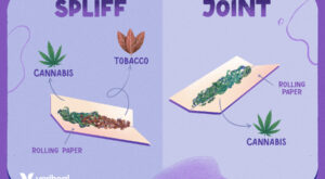 Choosing Between Spliffs and Joints: A Stoner’s Guide to Understanding the Difference