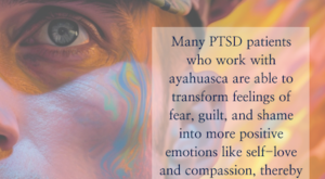 quote about ayahuasca for ptsd