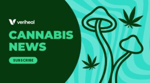 Colorado’s Online Cannabis Market, Florida’s Legalization Push, & a Psilocybin Drug Under Development