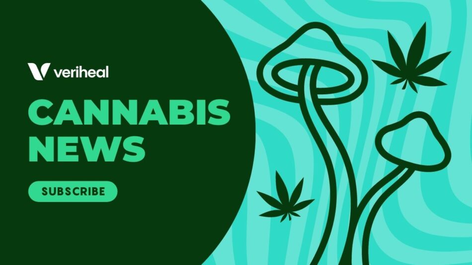Colorado’s Online Cannabis Market, Florida’s Legalization Push, & a Psilocybin Drug Under Development