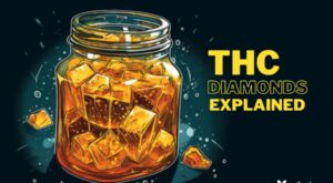 THC Diamonds Explained: Cost, Effects, and More