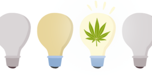 6 Cannabis Strains to Spark Creativity