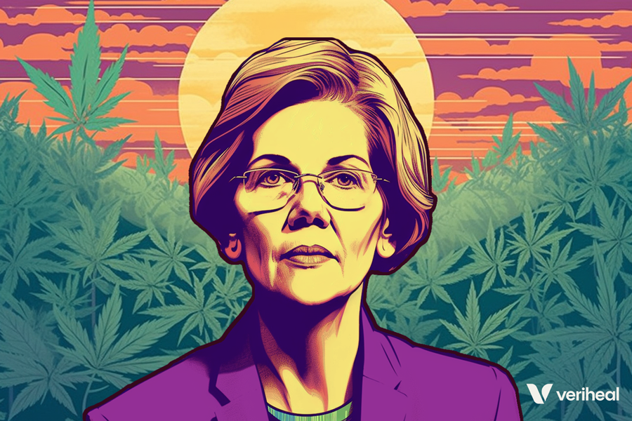 Urgent Call for Equitable Cannabis Policy: Senators Warren & Markey Address Congress