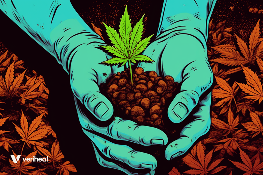 NPK Ratios For Cannabis Fertilizers: Understanding the Balance
