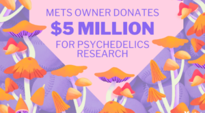 Mets Owner Steve Cohen Donates $5 Million in Support of Psychedelics Research