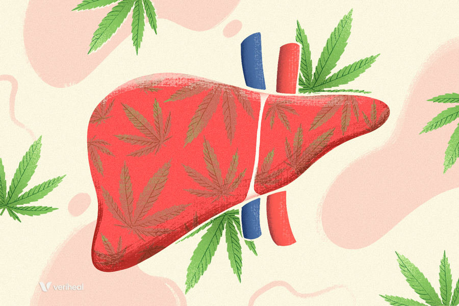 Cannabis and Liver Function: Discover the Science Behind The Relationship