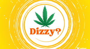 Can Cannabis Make You Pass Out? Discussing Dizzy Spells