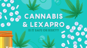 Cannabis and Lexapro for Mental Health: Safe or Risky?