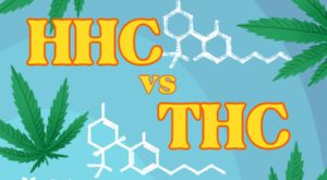 HHC vs. THC: What Are the Differences?