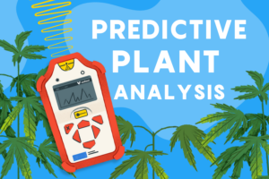 Predictive Plant Analysis: How This System Is Revolutionizing Cannabis Farming