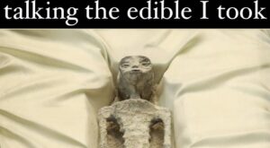 Recover from Edibles Meme