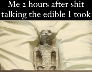 Recover from Edibles Meme