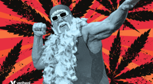 Hulk Hogan, 70, Swaps Opioids and Alcohol for CBD