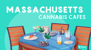 MA Cannabis Cafes, CA’s Psychedelic Future, & Seniors Want Cannabis