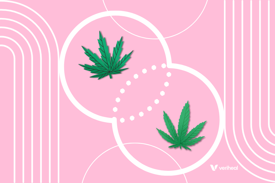 Crossing Cannabis Strains: What Does It Mean and How Is It Done?