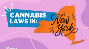 New York Cannabis Landscape: What Every Consumer Needs to Know