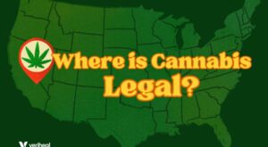 Where Is Cannabis Legal?