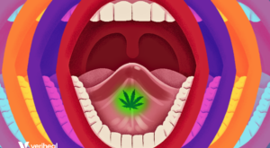 Sublingual CBD for Beginners: A Comprehensive Usage Guide